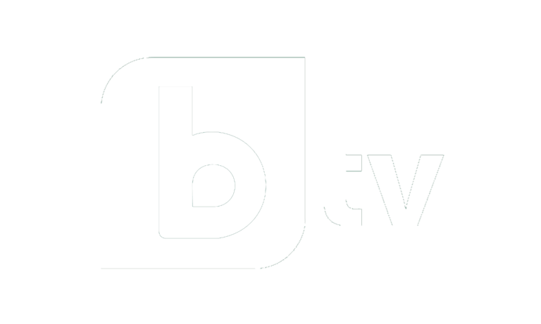 Logo White - bTV