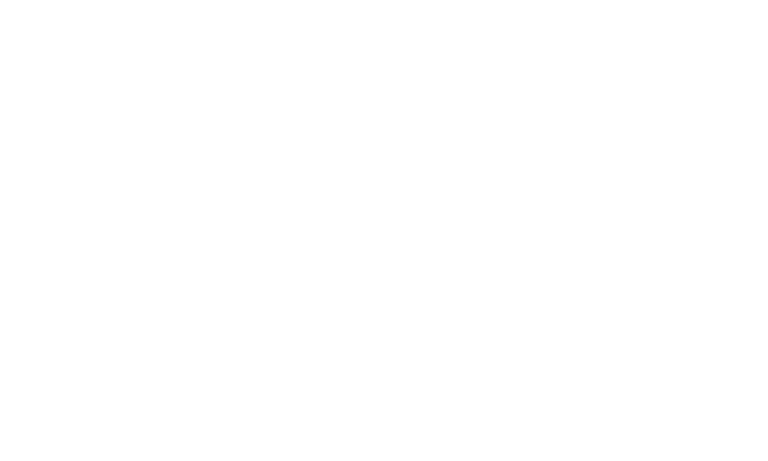 Logo White - Ikonomov