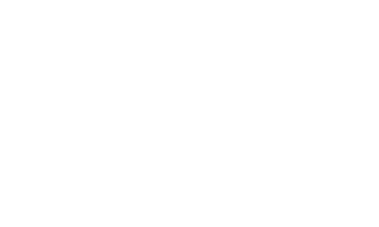 Logo White- Moreto