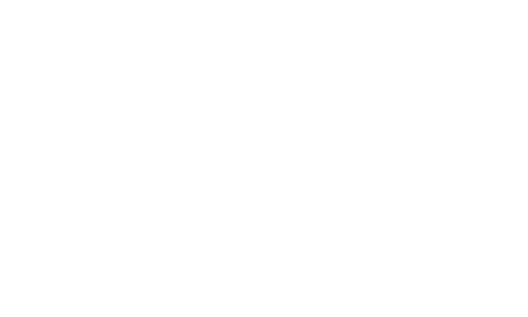 Logo White - Switch