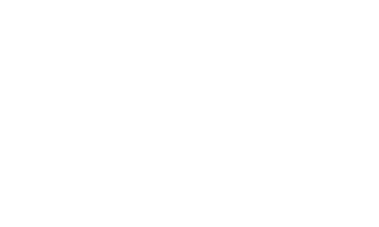 Logo White - Varna News
